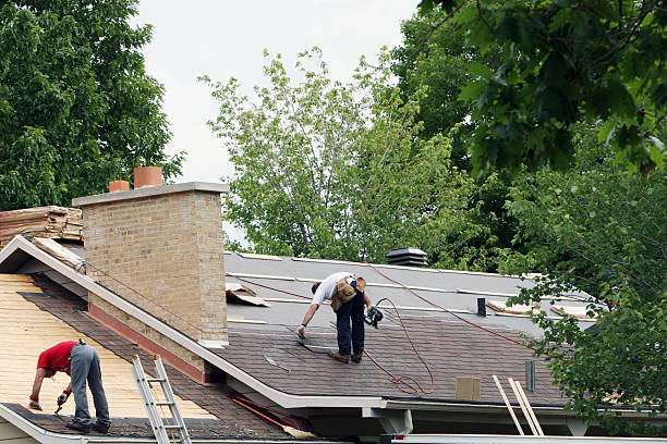 Best Roof Gutter Cleaning  in Drexel Heights, AZ